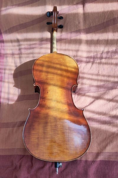 acoustic cello, back