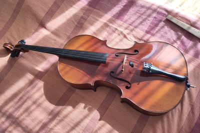 acoustic cello, front